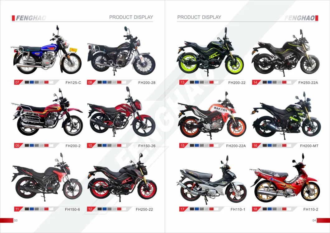 Fh200-30 Good Quality Durable Outdoor Motorcyle Hot Selling 200cc 250cc
