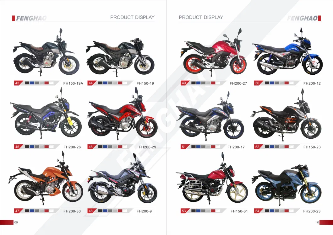 Fh200-30 Good Quality Durable Outdoor Motorcyle Hot Selling 200cc 250cc